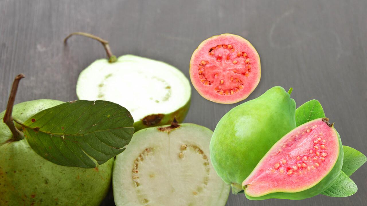 Descubra se a goiaba inteira in natura engorda: calorias e benefícios ...